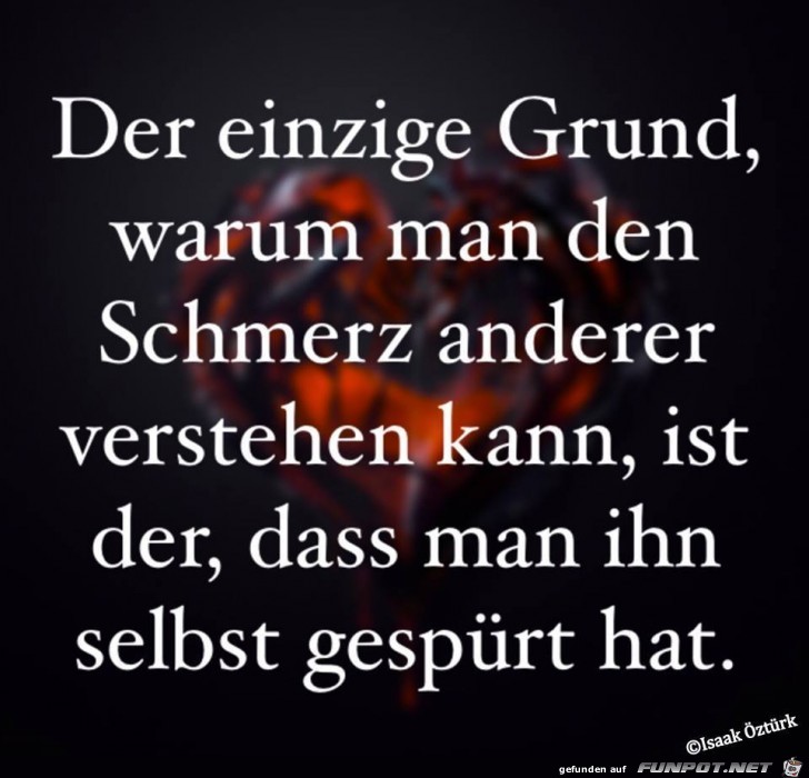 Der einzige Grund