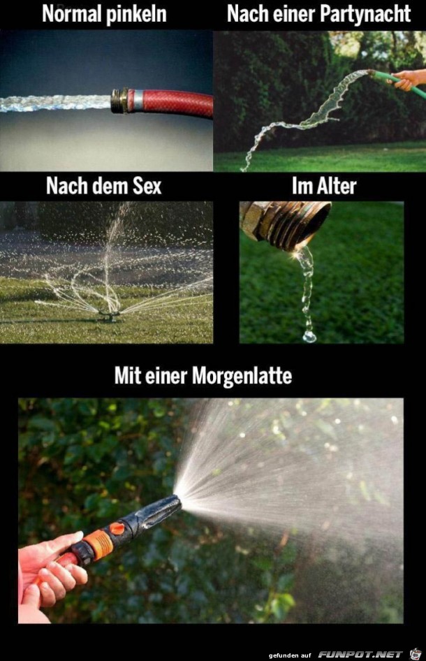 witzige Bilder aus verschiedenen Blogs