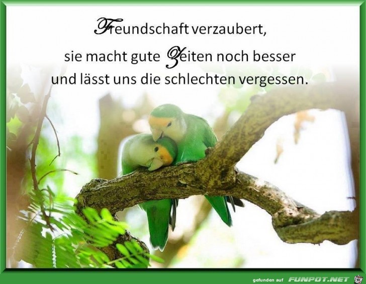 Freundschaft verzaubert