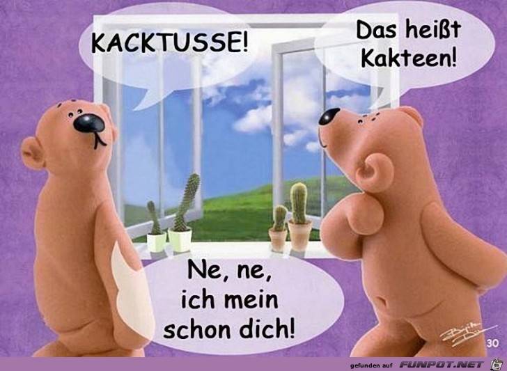 Kakteen... Kakteen...