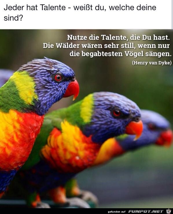 Jeder hat Talente