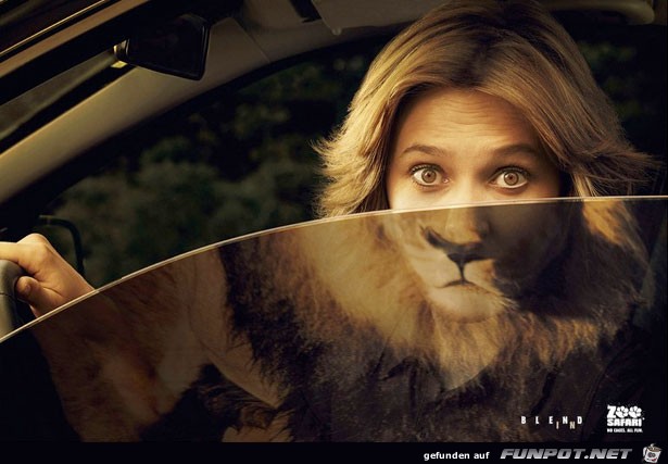 ZOOSafari ZOOSafari