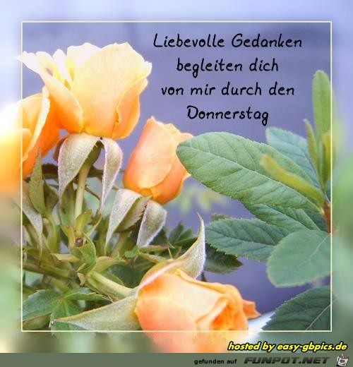 donnerstag242 donnerstag242
