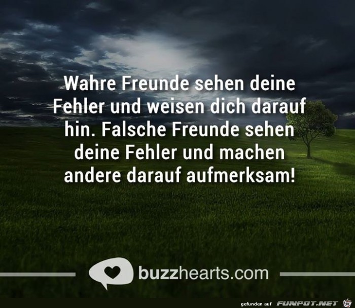 wahre Freunde