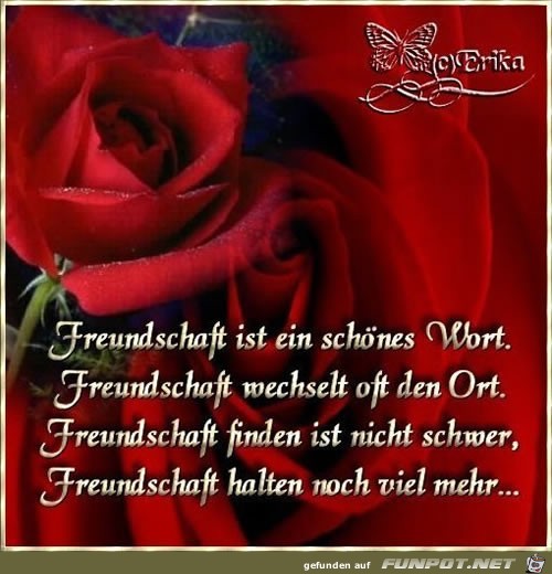 freundschaft 