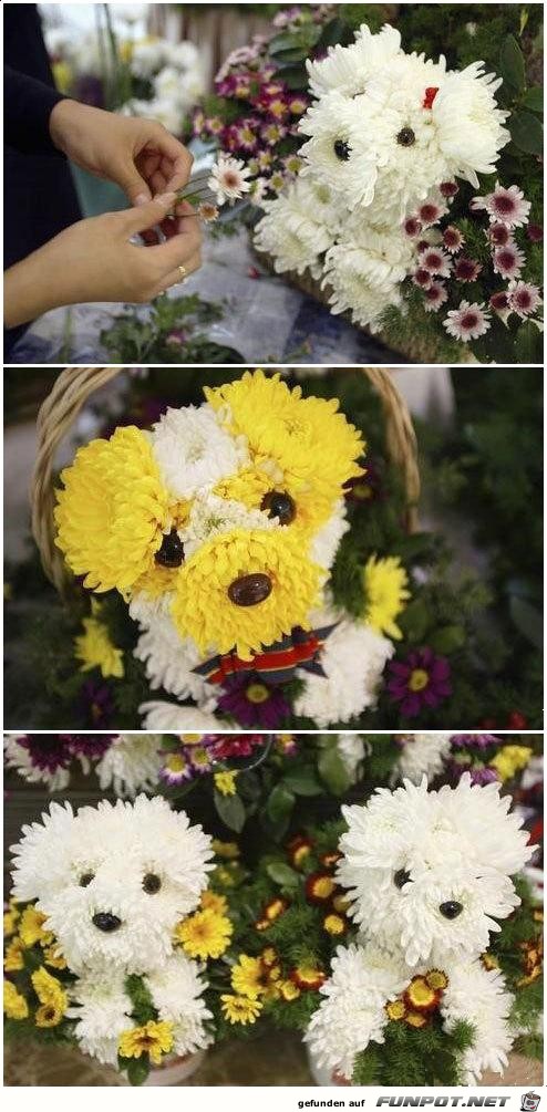 FlowerDoggy