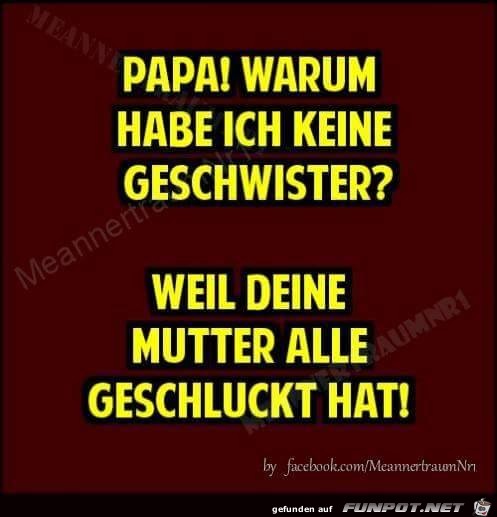 Papa warum hab ich keine Geschwister Papa warum hab ich keine Geschwister