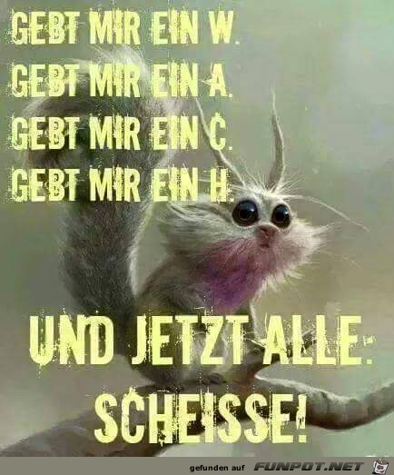 wach wach