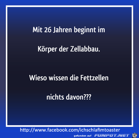 Zellenabbau Zellenabbau