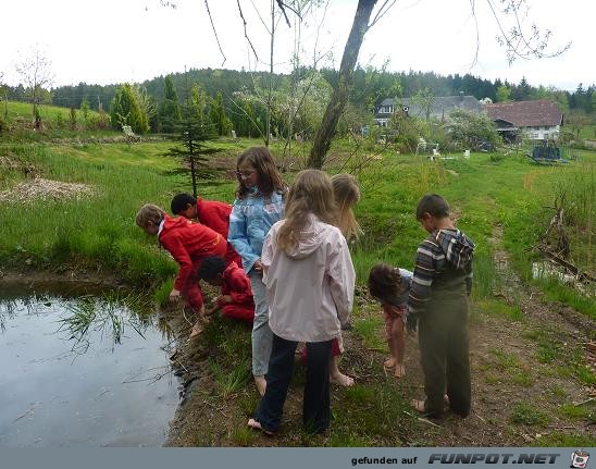 Froesche Teich 4 Froesche Teich 4