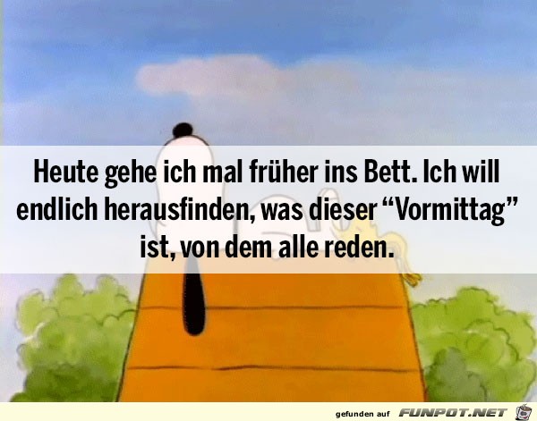heute heute