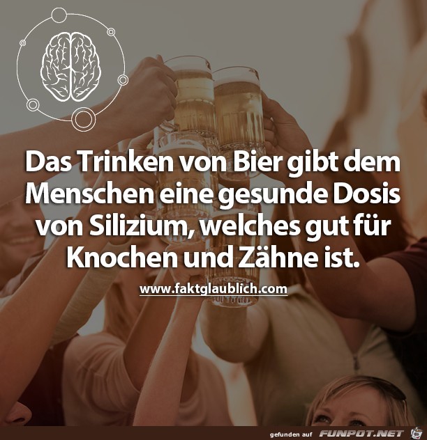 Das Trinken von Bier