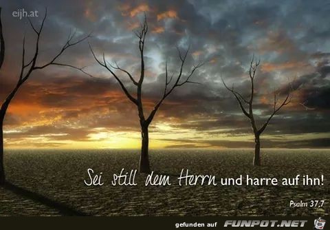 PSALM 37 7 PSALM 37 7