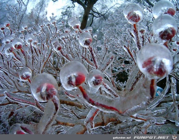 So sieht der Winter aus.