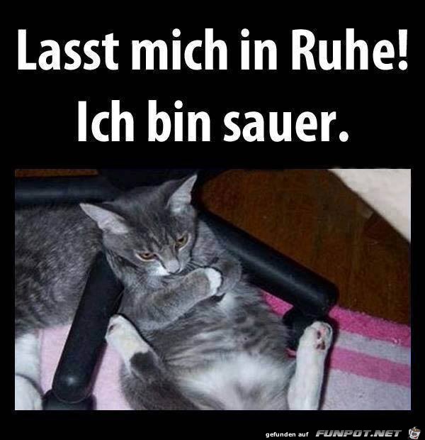 Lasst mich in Ruhe Lasst mich in Ruhe