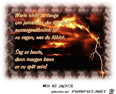 warte nicht zu lange warte nicht zu lange