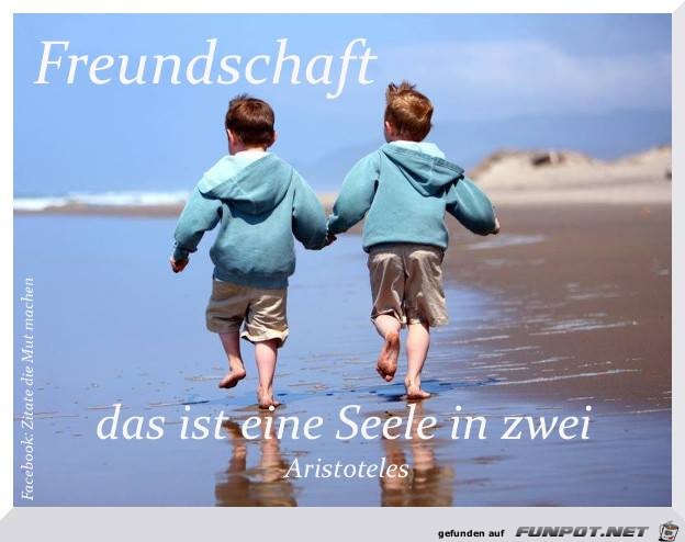 Freundschaft- 