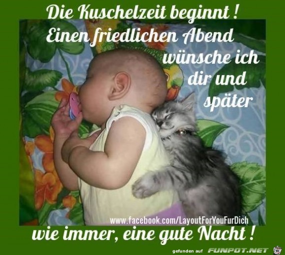 Die Kuschelzeit beginnt... Die Kuschelzeit beginnt...