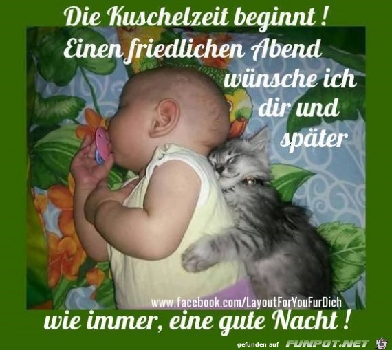 Die Kuschelzeit beginnt...