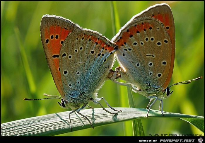 Wow-Bilder! Anschauen und genieen!