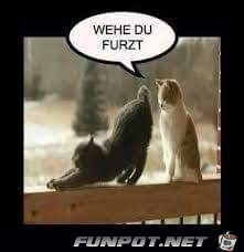 wehe wehe