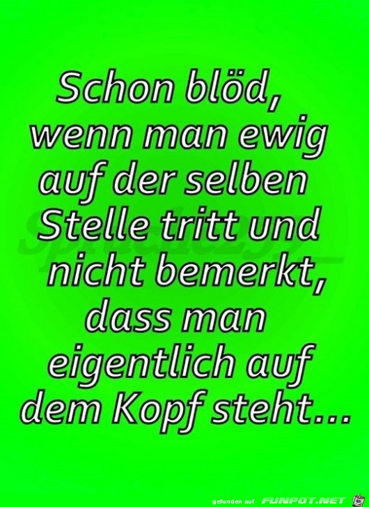 schon bloed