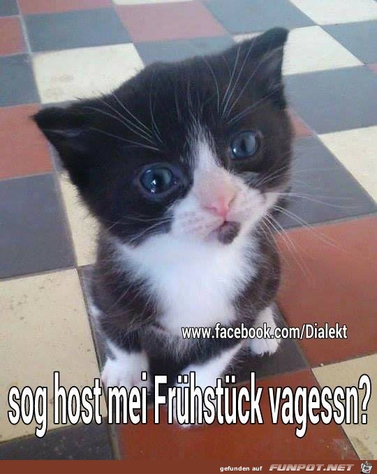 Fruehstueck Fruehstueck