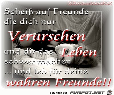scheiss auf freunde die dich nur vera scheiss auf freunde die dich nur vera
