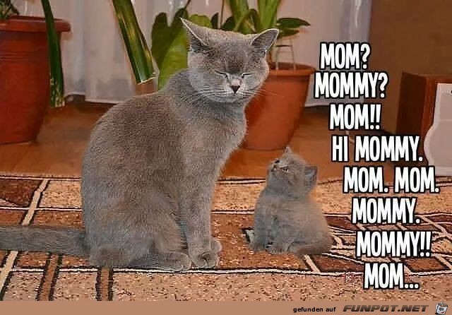 Mom Mom