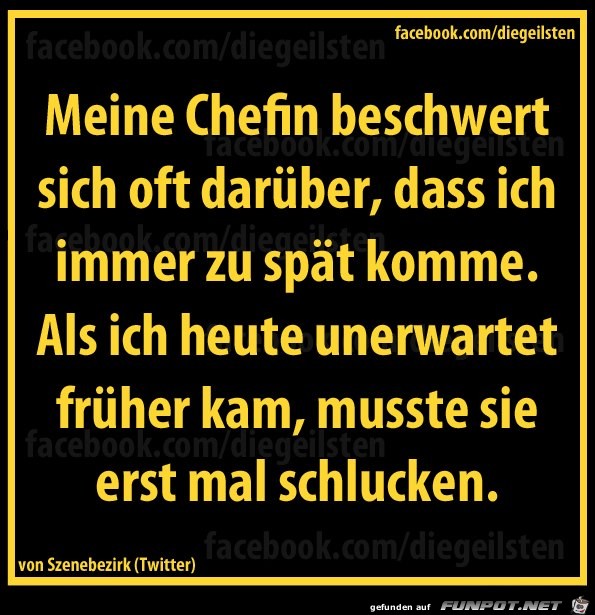 diegeilsten Chefin diegeilsten Chefin