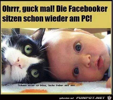 Facebooker sitzen