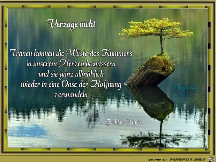 Verzage nicht... Verzage nicht...