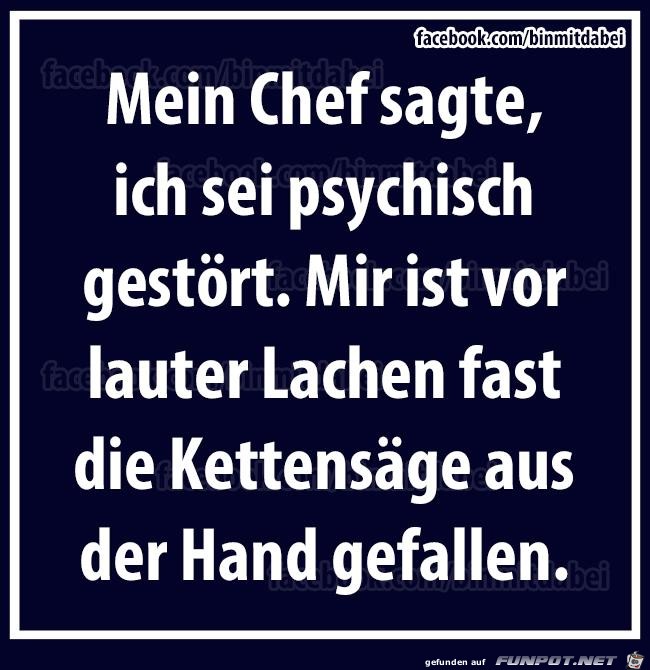 Mein Chef Mein Chef