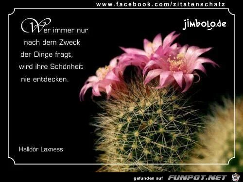 IMG 630228468792562 IMG 630228468792562