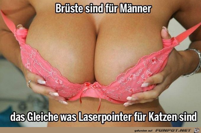 witzige Bilder aus verschiedenen Blogs