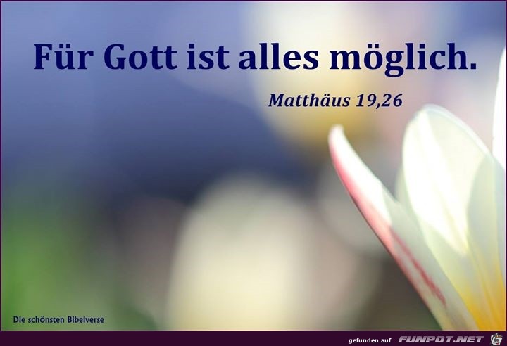 Matth 19 26 Matth 19 26