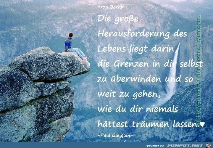 Die große Herausforderung... Die große Herausforderung...