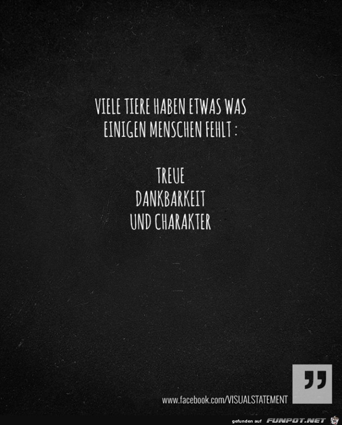 viele tiere haben viele tiere haben