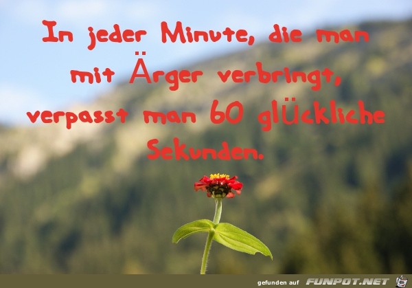 spruch-minuten-aerger