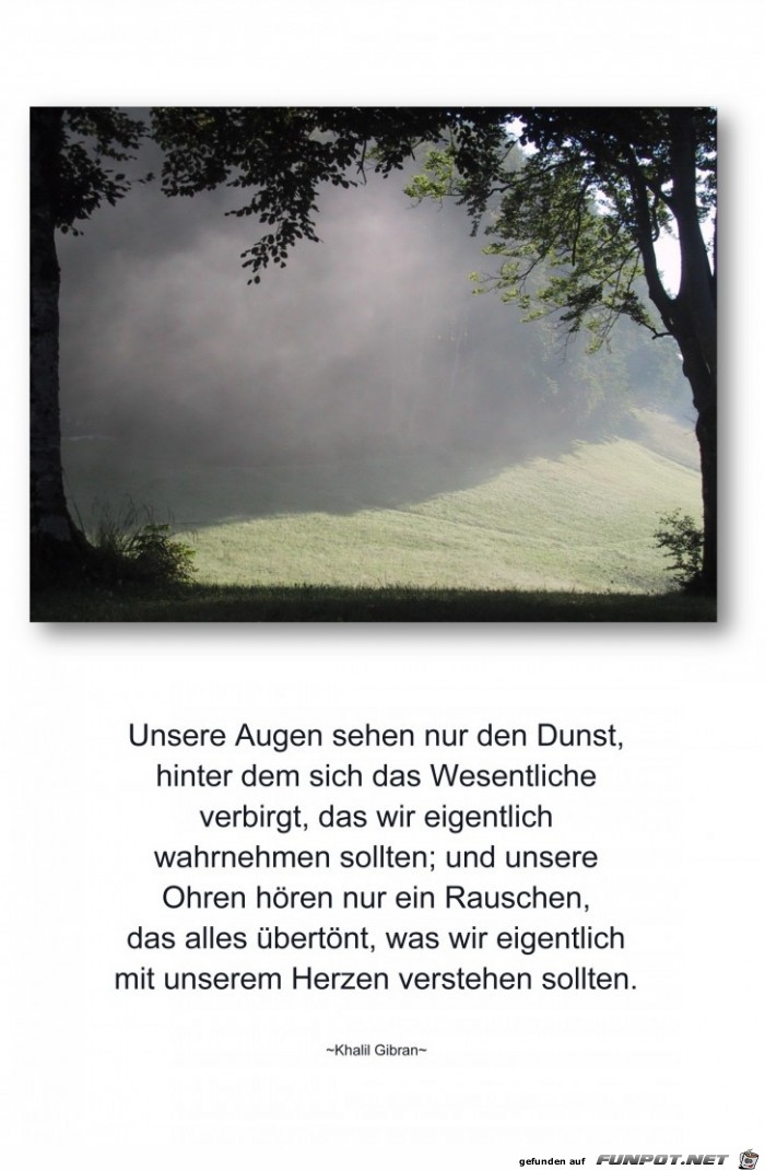 Unsere Augen sehen nur den Dunst