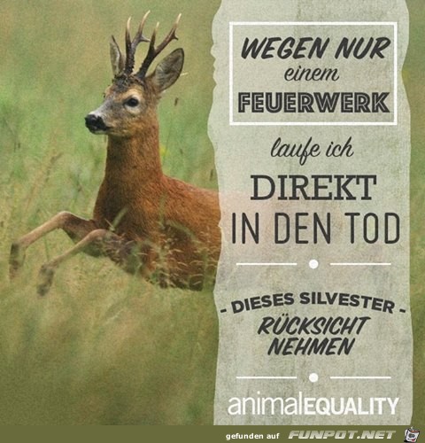 Wegen nur einem Feuerwek Wegen nur einem Feuerwek