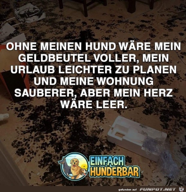 ohne meinen Hund ohne meinen Hund