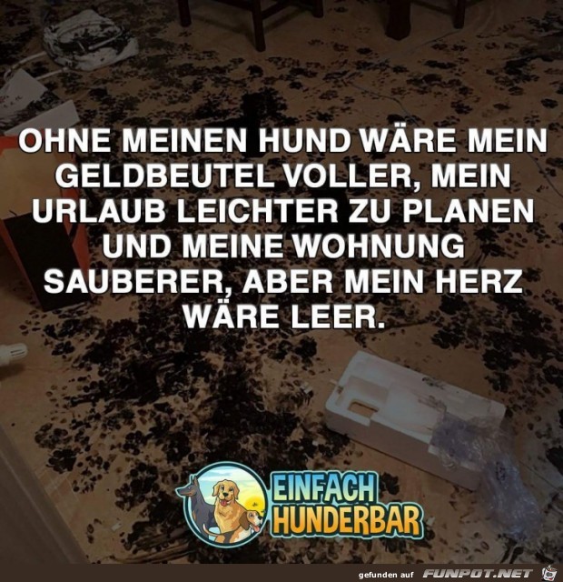 10 schne Sprche und Lebensweisheiten aus...