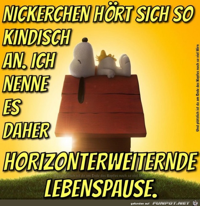 Lebenspause Lebenspause