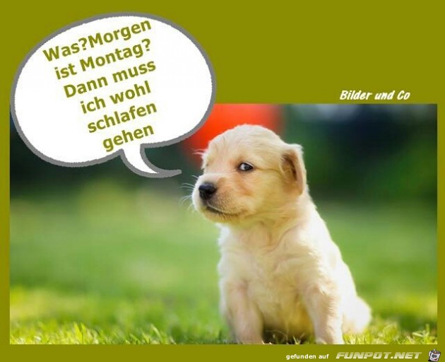 morgen ist Montag morgen ist Montag