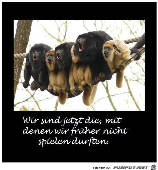 Wir sind jetzt die Wir sind jetzt die