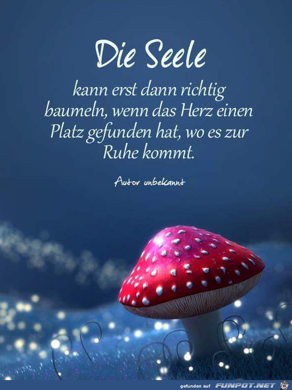 die Seele die Seele