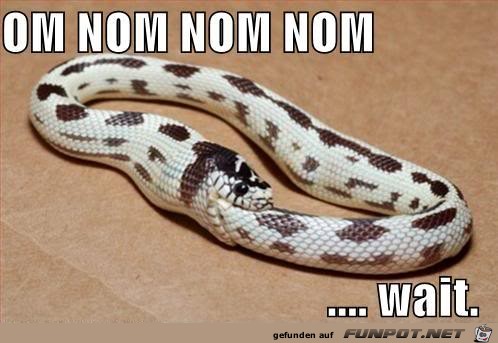 nomnomnom nomnomnom
