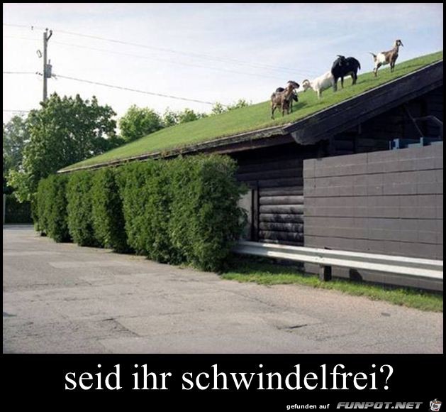 schwindelfrei schwindelfrei