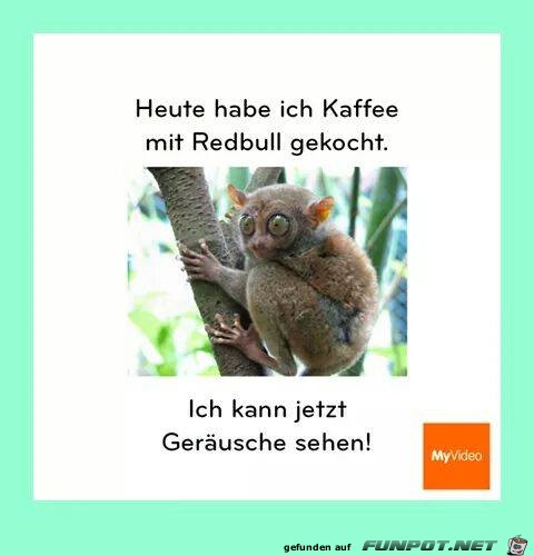 Heute hab ich Kaffee